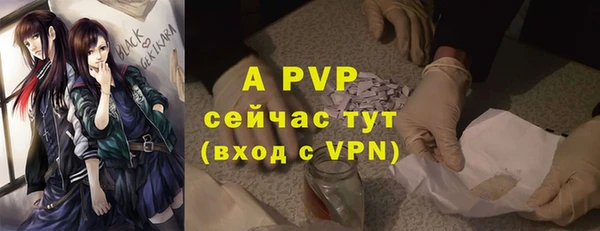 спиды Аркадак