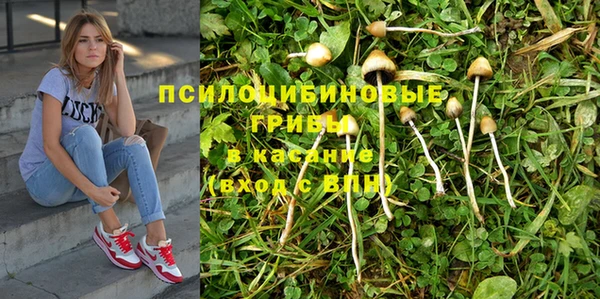 бутират Арсеньев