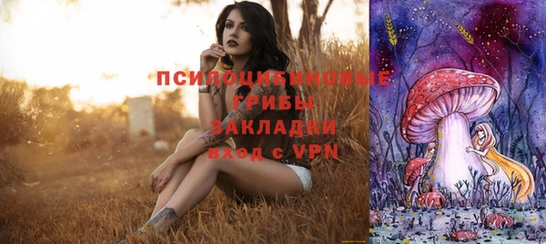 бутират Арсеньев