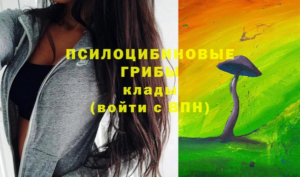бутират Арсеньев