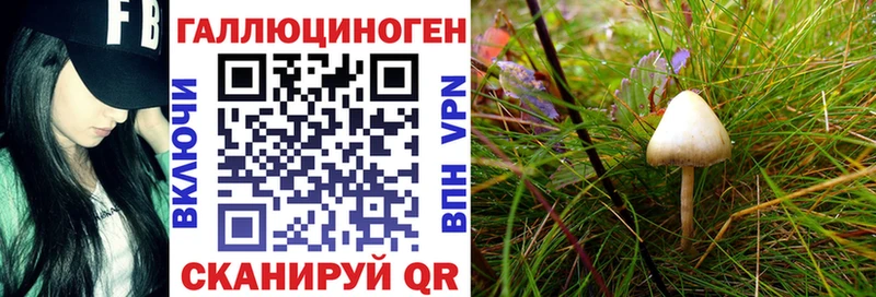 ссылка на мегу ONION Тверь Галлюциногенные грибы MAGIC MUSHROOMS