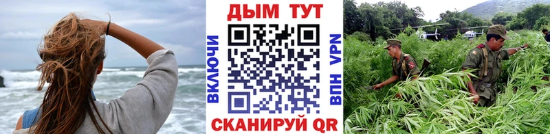купить   Тверь  Каннабис SATIVA & INDICA 